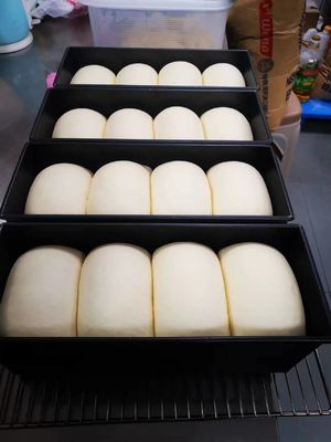 Yasur 40 Tepsi Uzanma Tipi Pizza Hamur Mayalama 40X60cm 2kw Hava Yıkama Tipi Buhar Jeneratörü