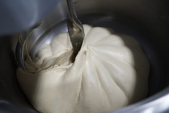Çift Hızlı 12.5kg Spiral Pizza Hamur Mikseri Tek Motorlu 25kg Hamur Karıştırıcı